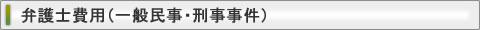 弁護士費用 / 一般民事・刑事事件